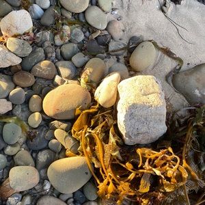 Meet your Posher, Garrett